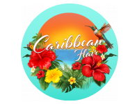 Logo Caribbean Flair